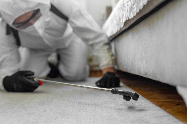 Professional Bed Bug Control technician working in Winnsboro, TX