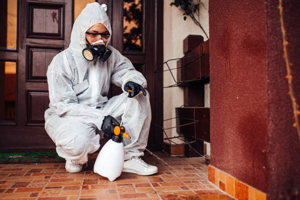 Reliable Bed Bug Control contractor in Winnsboro, TX by Nex Pest Control